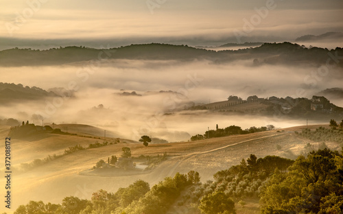 Tuscan Countryside on Foggy Morning