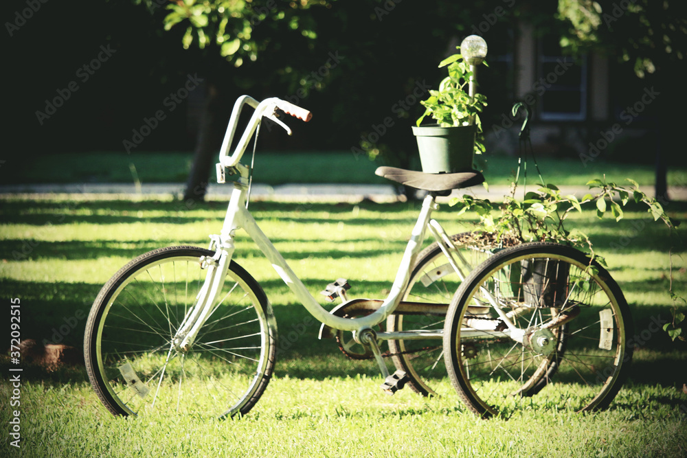 A nice vintage bike for decoration in someone's yard 