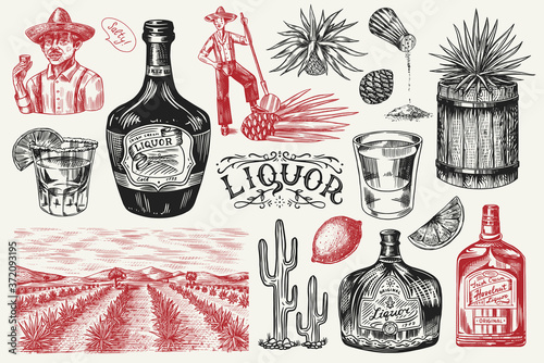 Liquor bottle, shot with lime, blue agave Plant, barrel and root ingredient, farmer and harvest. Engraved hand drawn vintage sketch. Woodcut style. Vector illustration for menu or poster.
