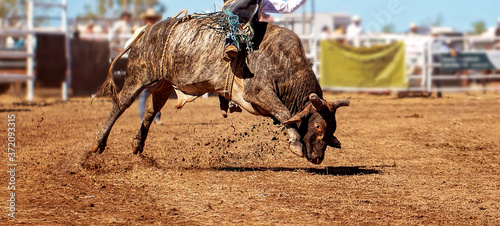 Cowboy Rides A Bucking Bull