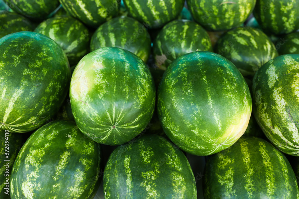 background of watermelons in the market background of watermelons in the market