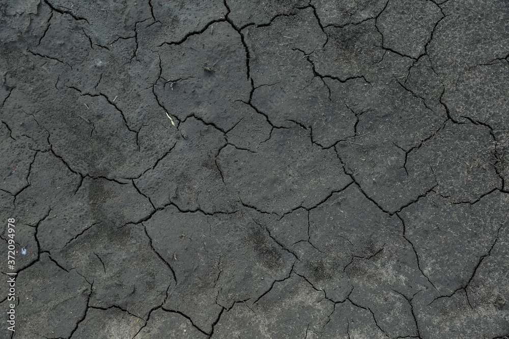 background of dry cracked soil background of dry cracked soil