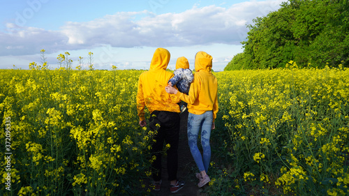 loving family, mom dad and a little child against the backdrop of a bright rapeseed field. farming, agriculture. parenting
