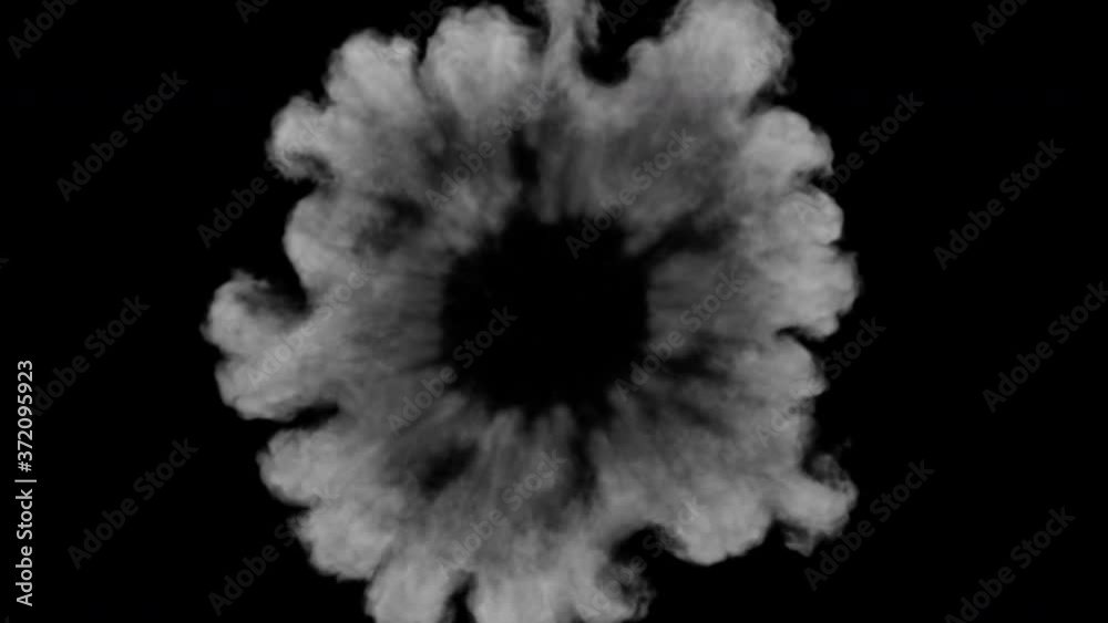 Shockwave smoke explosion. Steam or dust wave animation. Alpha channel is embedded