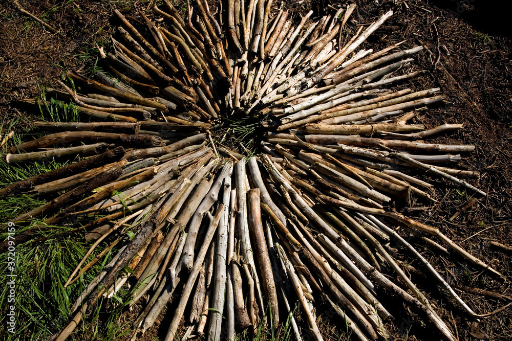 Obraz premium Holzkreis aus Ästen im Wald