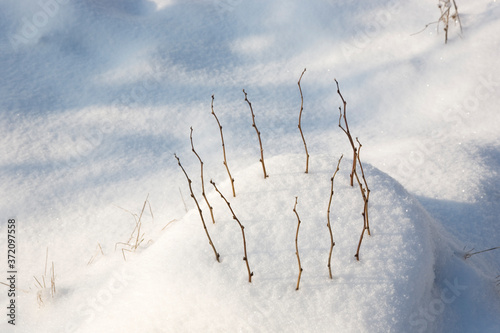 Landart: Zwölf Zweige im Schnee
