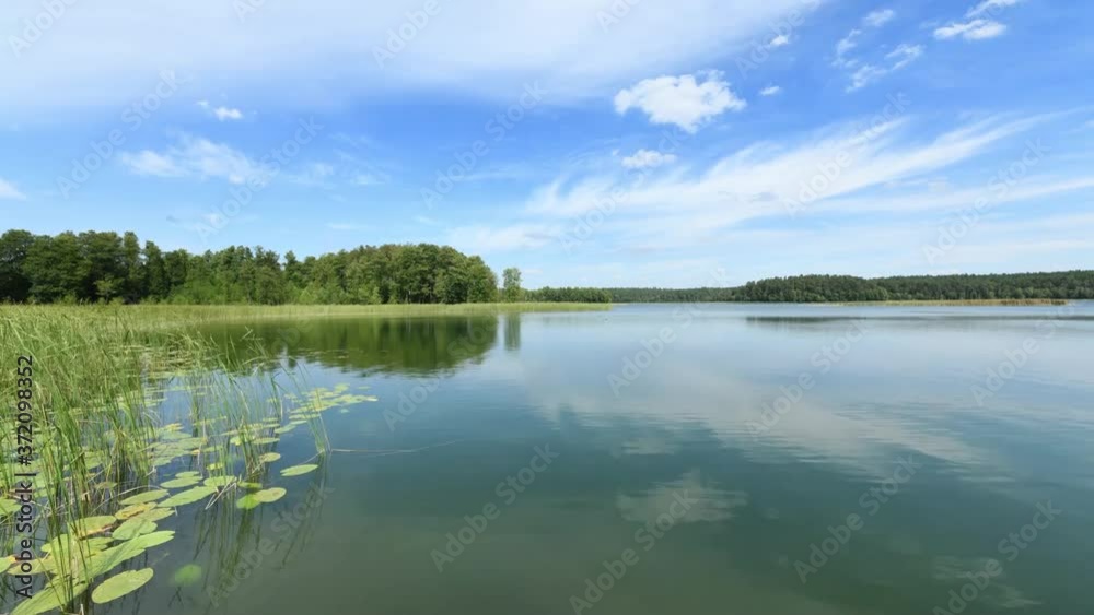 lake in summer