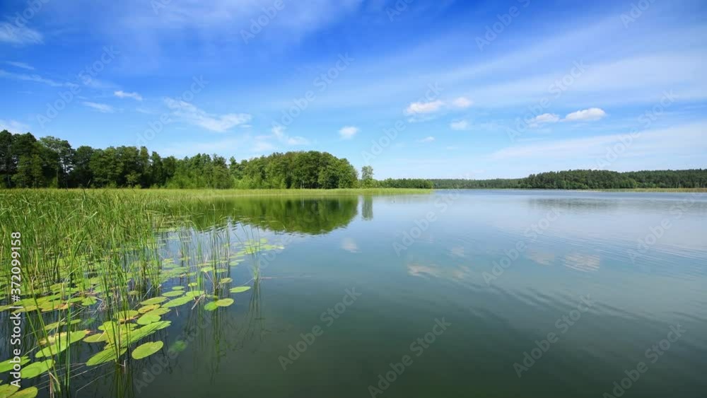 summer landscape with lake