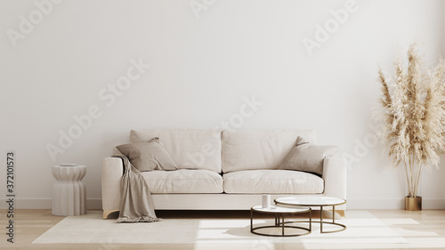 Scandinavian style living room interior mock up, modern living room interior background, beige sofa and pampas grass, 3d rendering photo