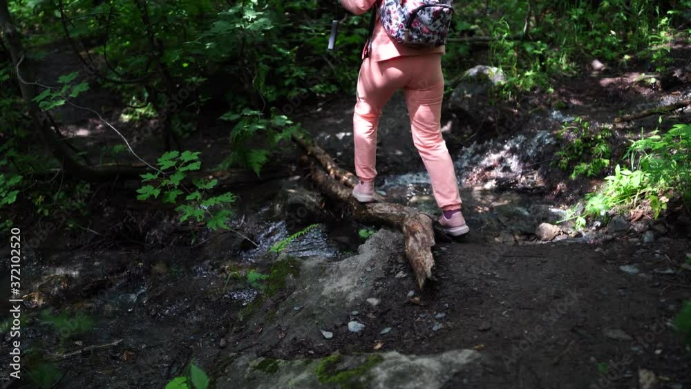 Young woman passes carefully mountain stream on log. Rear view of female tourist with backpack walking along trunk of tree through stream. Young woman passes carefully mountain stream on log. Rear view of female tourist with backpack walking along trunk of tree through stream.