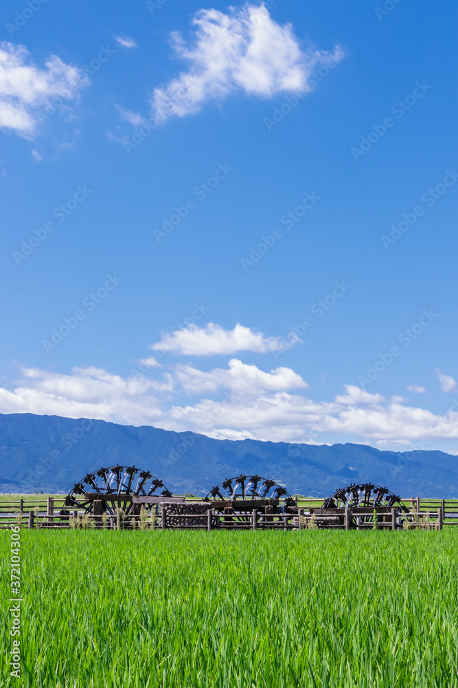 菱野の三連水車（夏）　福岡県朝倉市　Triple Waterwheel (summer) Fukuoka-ken Asakura-gun