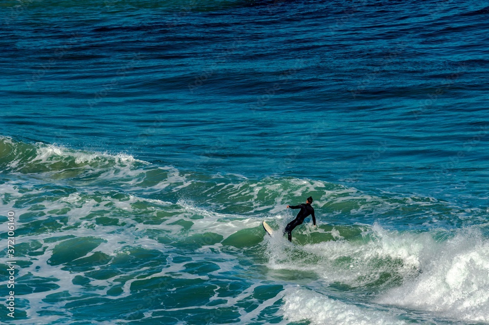 Obraz premium Leaning Back