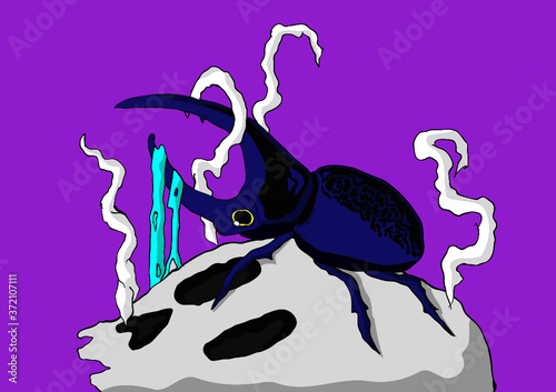Ilustración escarabajo
