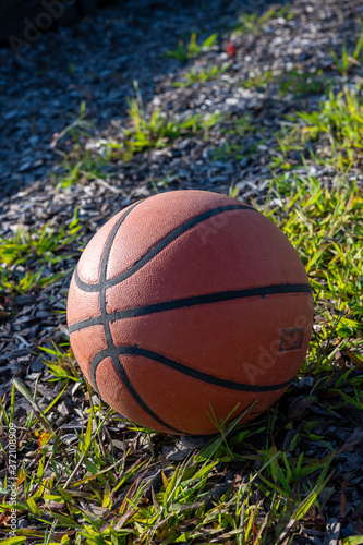 basketball on grass