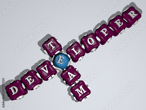 DEVELOPER TEAM crossword of colorful cubic letters, 3D illustration for business and computer photo