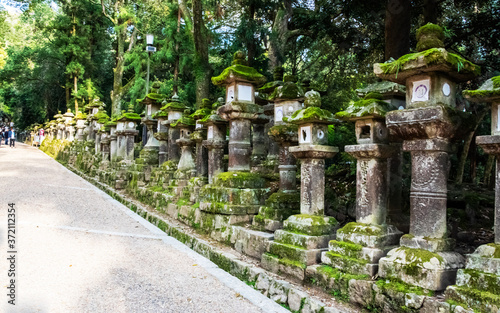 Temple lanterns in Japan