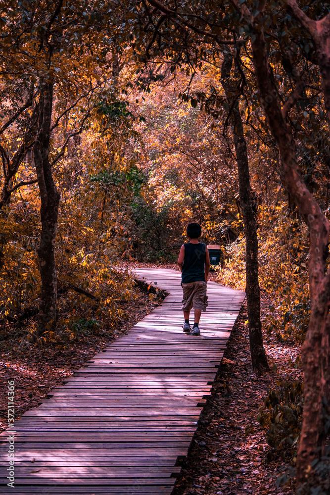 Obraz premium Jardín