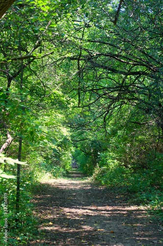 Landscape