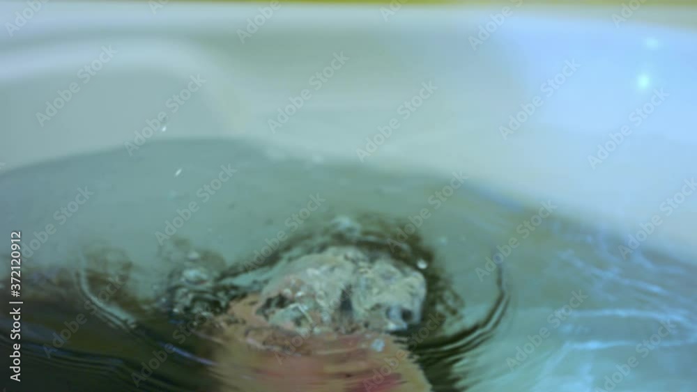 The young woman was submerged under water. I dive in the bathtub