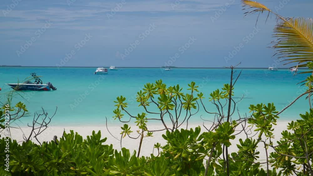 Tropical plants next to white sand beach with bright blue ocean and boats in The Maldives Tropical plants next to white sand beach with bright blue ocean and boats in The Maldives