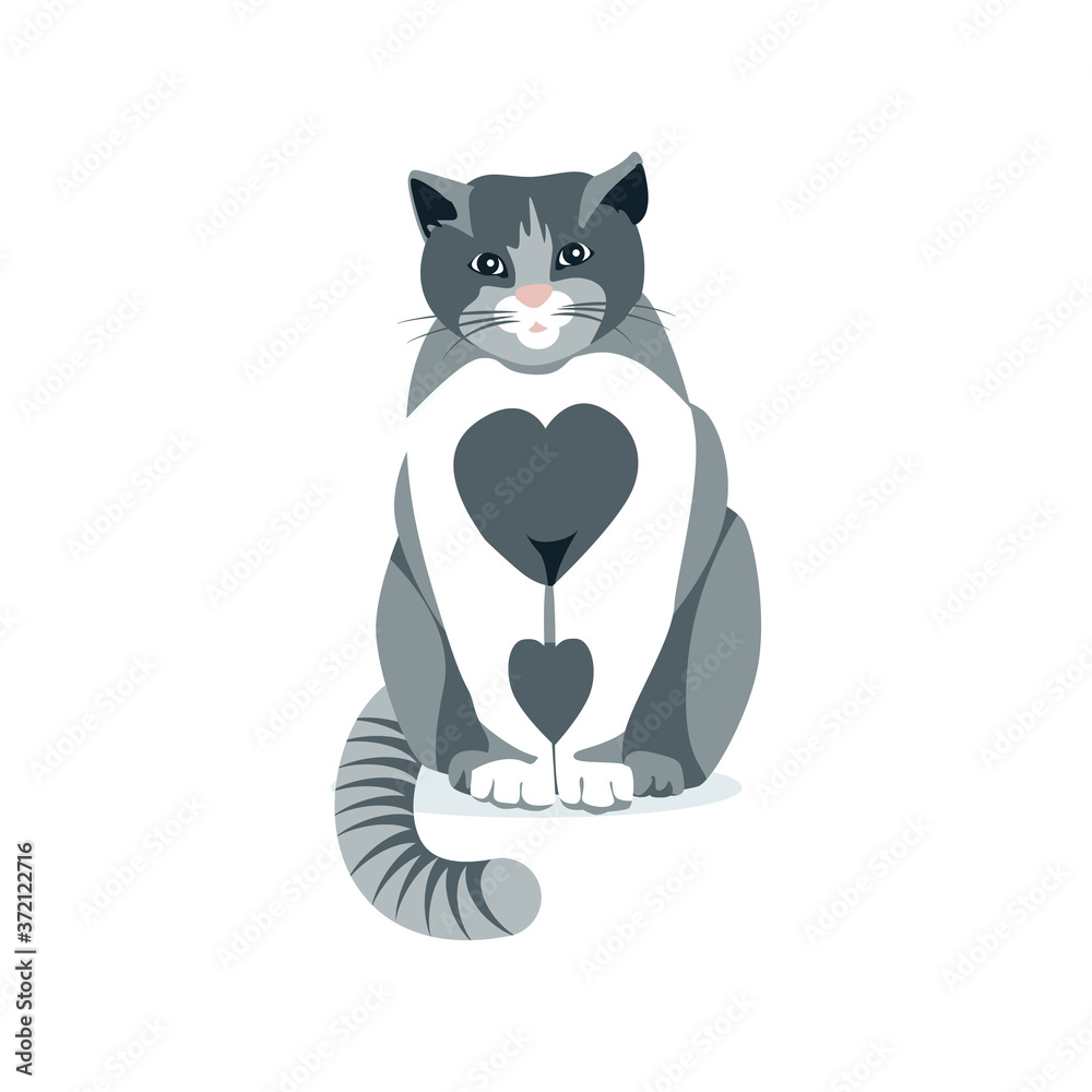 Obraz premium Cute gray and white cat pet. Front view of sitting adorable domestic animal cartoon vector illustration isolated on white background