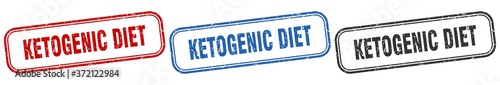 ketogenic diet square isolated sign set. ketogenic diet stamp