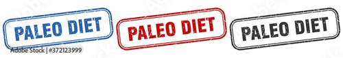 paleo diet square isolated sign set. paleo diet stamp