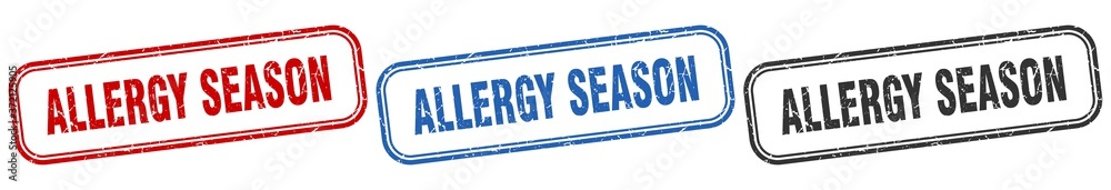 allergy season square isolated sign set. allergy season stamp allergy season square isolated sign set. allergy season stamp