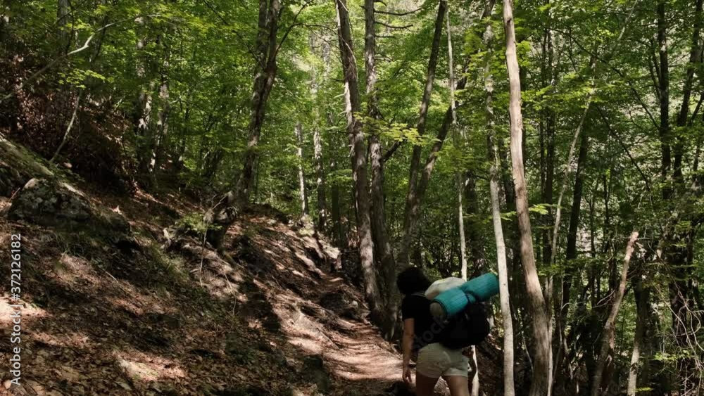 A Lady Hiker Climbing On The Forest Trail In Mount Olympus, Greece On A Summer Day - tilt-up slowmo revealing shot A Lady Hiker Climbing On The Forest Trail In Mount Olympus, Greece On A Summer Day - tilt-up slowmo revealing shot