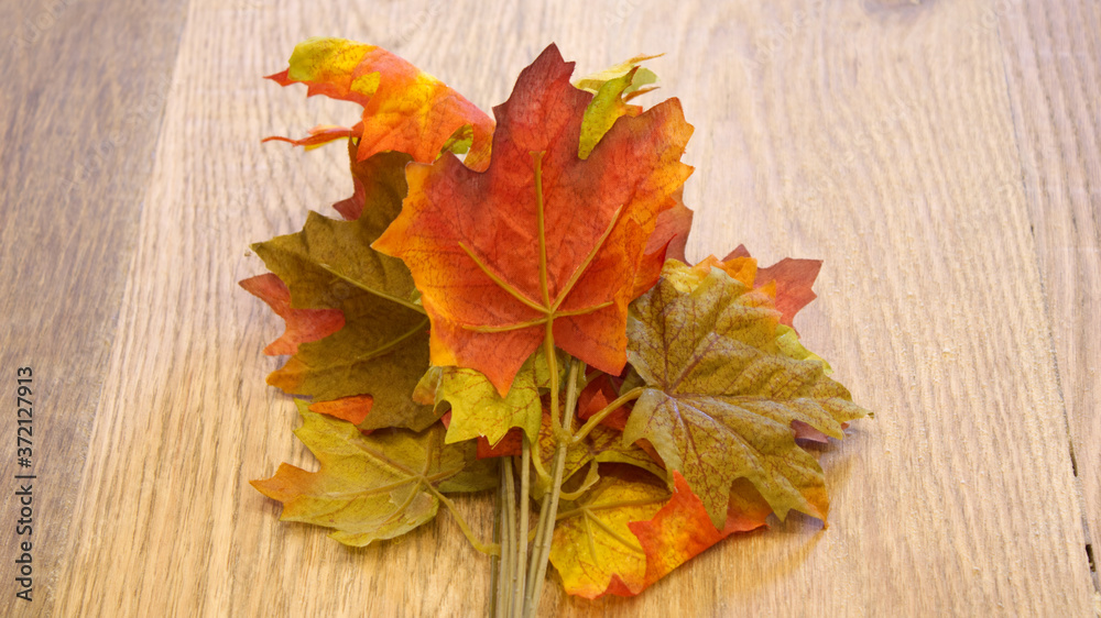 Obraz premium autumn leaves on wooden background