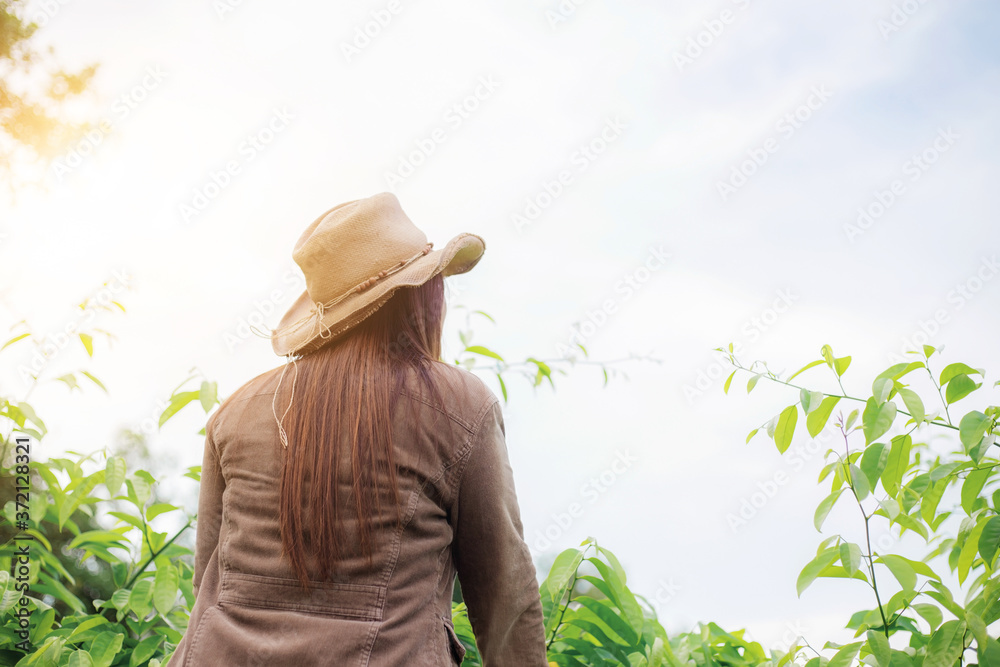 Woman traveling in forest at sky.