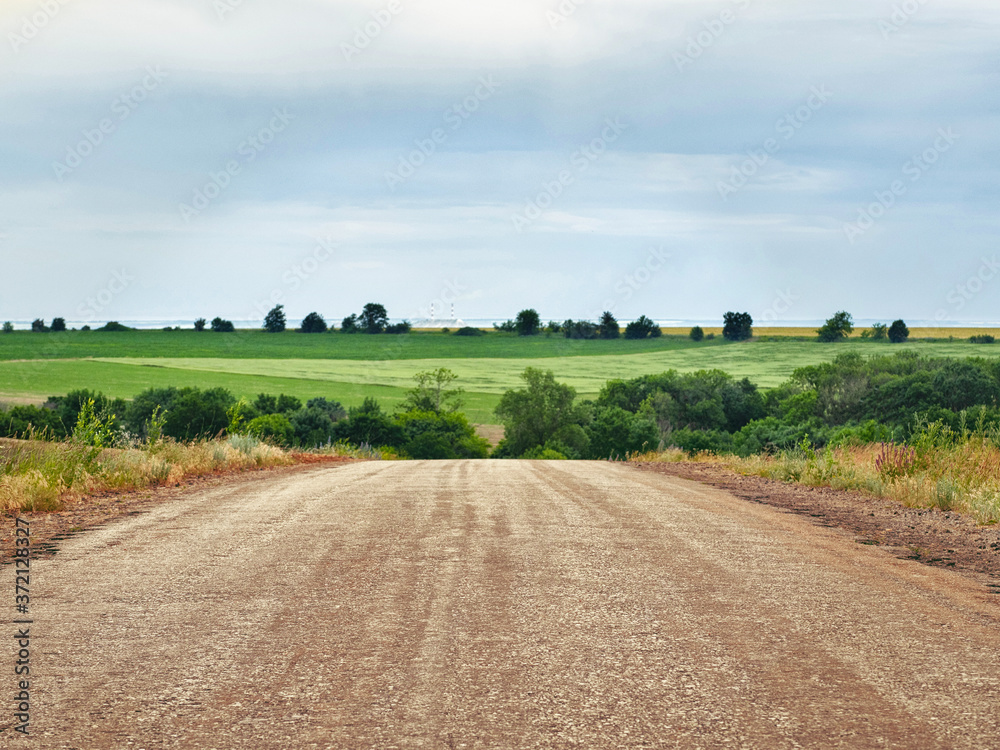 Asphalt road in countryside. Natural skyline with green of landscape