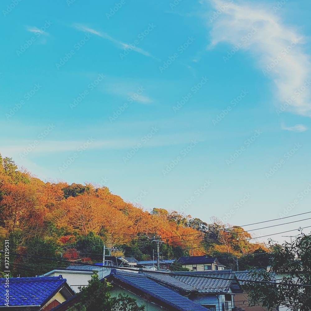 Fototapeta premium なにげない日の風景 空