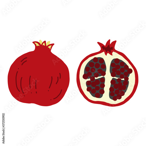 ザクロの手書きイラストアイコン pomegranate flat illustration vector icon