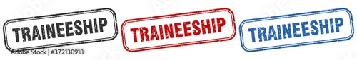traineeship square isolated sign set. traineeship stamp