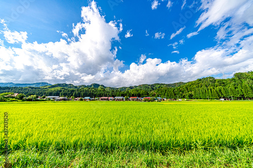 【日本の里山】福島県 会津の風景