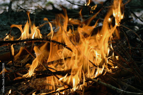 Fire of sticks and branches on forest floor with orange and yellow flames