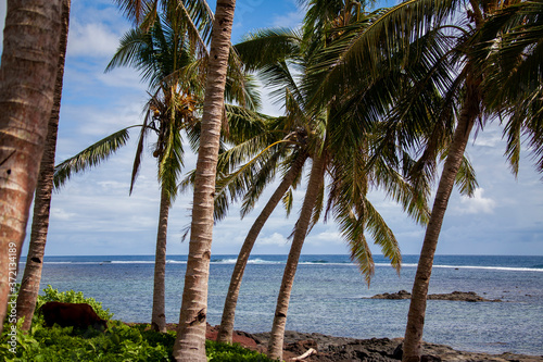 Palm trees sway in a gentle breeze near the beach on the Island of Upolu in Samoa, near Apia.