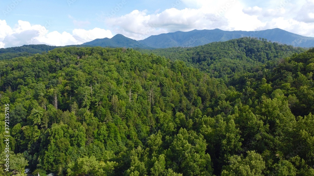 mountain landscape with trees