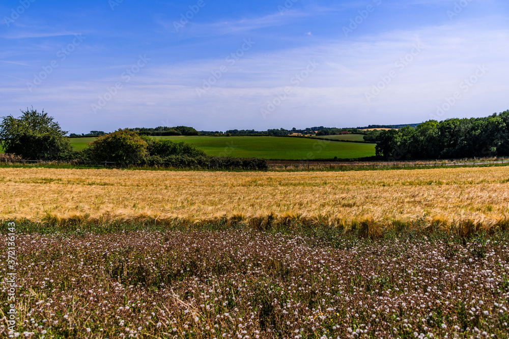 farmland agricultural landscape warwickshire england uk