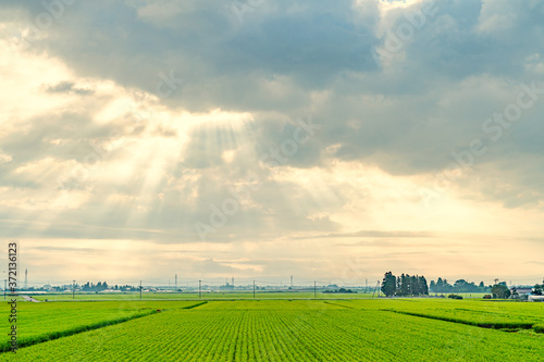 【日本の里山】福島県 会津の風景