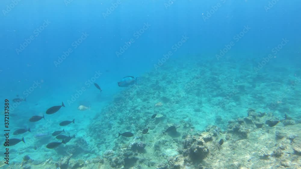 加計呂麻島の空と海 加計呂麻島の空と海