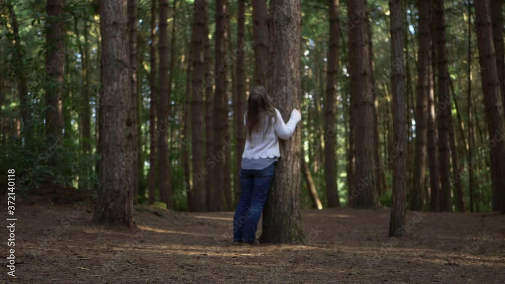 Woman hugging tree and looking up in pine forest wide shot Woman hugging tree and looking up in pine forest wide shot
