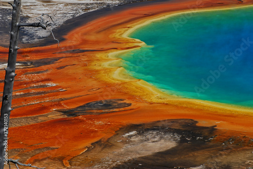 Colors of Grand Prismatic Spring Yellowstone National Park, Wyoming 