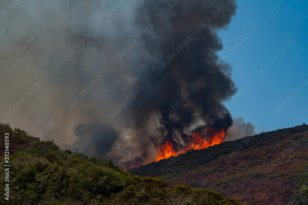 Wildfire in California
