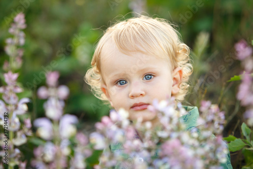A cute little boy in a lavender field. Happy family leisure outdoors.