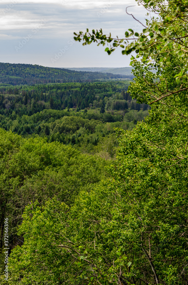 View from a high lookout point on the Shell River Valley Hiking Trail at Duck Mountain Provincial Park, Manitoba, Canada