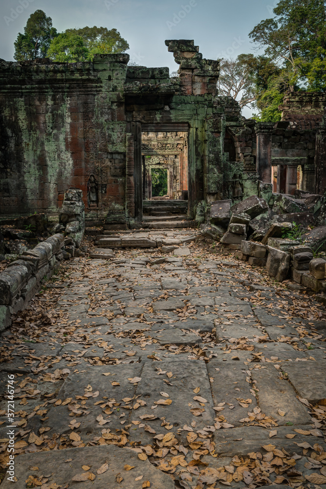 Temples of the Cambodia Jungle