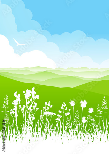 Summer scene with wild herbs and mountains on cloudy sky background - vertical banner for natural design
