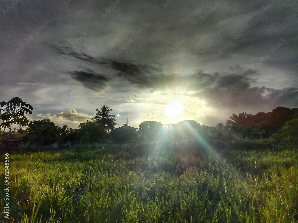 Fototapeta premium misty morning landscape